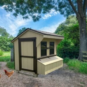 Tan chicken coop with dark brown trim and windows, set on a gravel path under trees with two brown hens nearby.