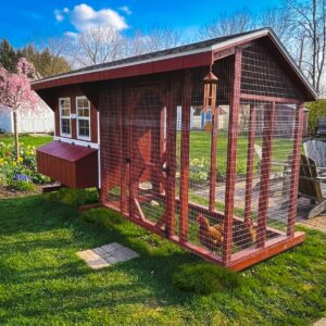 Red 4x6 chicken coop with 4x8 covered run, white trim, black shingled roof, and chickens inside, set in a blooming spring backyard