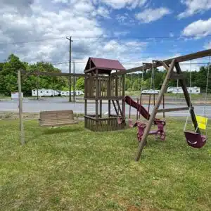 Family Swing Set